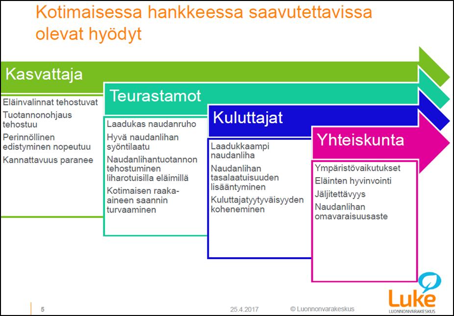 katevaikutus lihatiloilla Atrian ketjussa