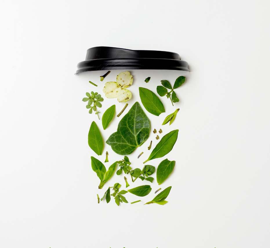 rasvatiivis käärepaperi Green Tree 5060271926725 1000 VGKSH4-GT 430 x 350mm rasvatiivis käärepaperi Green Tree 5060271929917 960 R150-GT 140ml PLA kylmäkuppi Green Tree (5oz, 76-sarja) 5060271929757