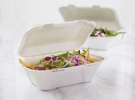 17cm bagasse-lautanen (source-reduced) 5060271922314 500 P006-SR 22cm bagasse-lautanen (source-reduced) 5060271922321 500 VPSQ-06 15cm bagasse-lautanen neliö 5060271923502 500 VPSQ-08 20cm