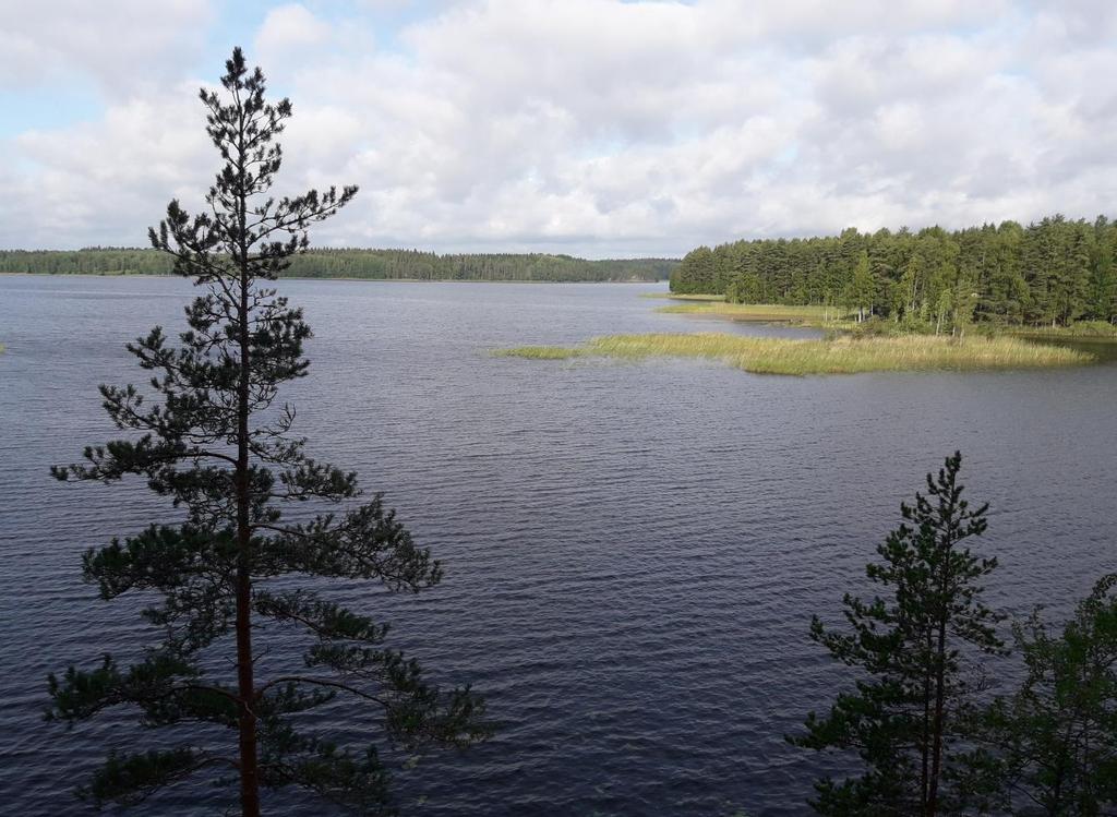 vesienhoidon näkökulmasta Tutkija