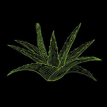 u(9ac69d*ltkrns( Buña Body Balm vartalovoide 480 ml Aloe Aloe-uute, glyseriini, maitohappo, urea ja allantoiini
