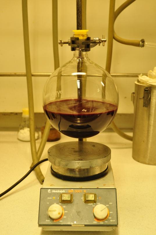 ]. addition of [Bn 2 NH 2 ][OCOCF 3 ].