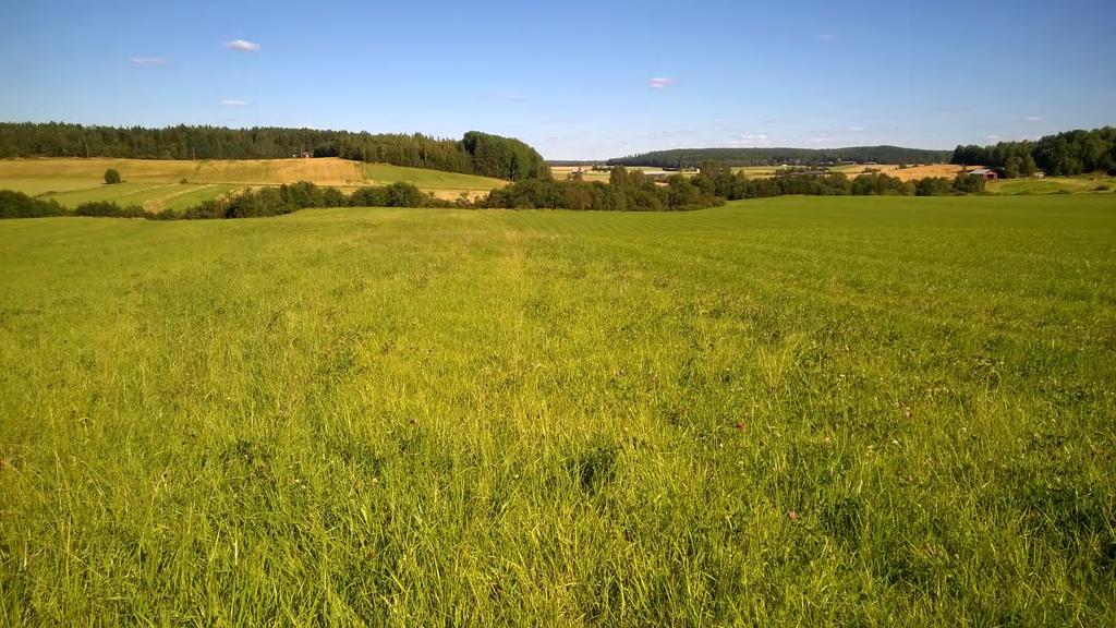 Mikä on Maitoyrittäjien porukan nurmitilanne? Satotaso? Syönti-indeksi? Rehuanalyysien määrä/vuosi? Nurmen lannoituskustannus euroa/ha?