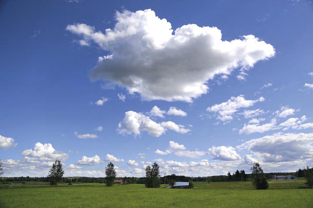 Nurmiryhmätilojen tavoitteet lähivuosille (vastaajina 52/75 lännen nurmiryhmätilasta 10.2015) 1. Tilan kannattavuuden parantaminen 2.