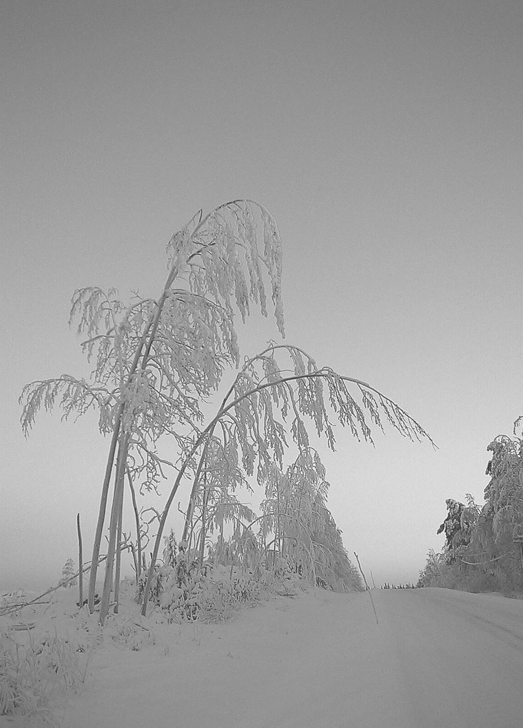 Jäsentiedote 2 /