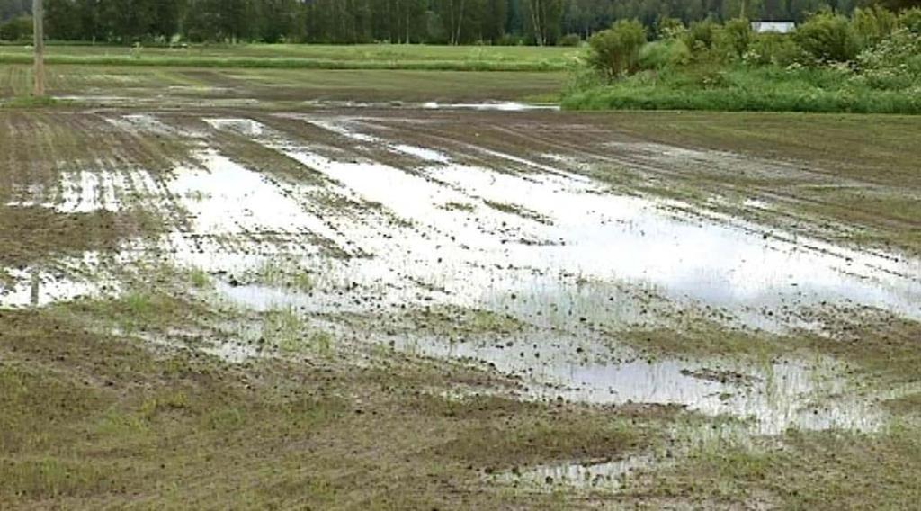 Ilmastonmuutos Mielekkyys ja motivaatio, osaaminen Kannattavuus Biodiversiteetti Kierrätys Valumat vesistöihin NYT