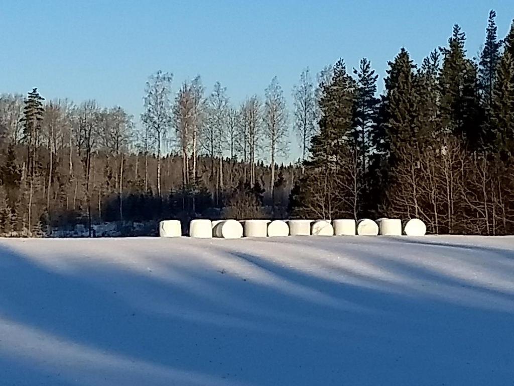 Digipaali-video TKI-kärjet 2019 tavoitteita: 2 uutta laitetta proton lisäksi, anturitestissä kuiva-aine ja paalin paino.