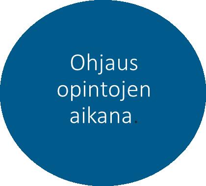 Henkilökohtaisen opiskelupolun rakentaminen - esimerkki Lapin AMK:sta Opiskelija alkaa kerätä henkilökohtaista osaamiskansiotaan. Opettajatuutorin tuokioita n. 2 kertaa/lukukausi.