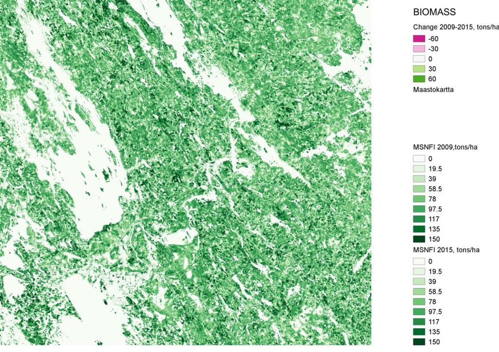 Metsäpeitteen biomassan