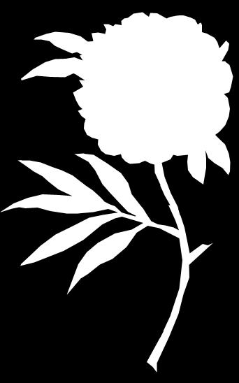 Juhannuspioni, Paeonia humilis lore plena * Korkeus 40 cm * Kukkii kesäkuussa * Viihtyy auringossa multavassa maassa Juhannuspionin laji Paeonia humilis