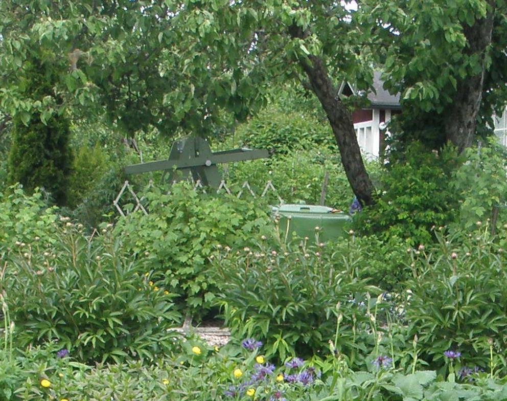 Kompostoi puutarhajäte Versoista ja juurakoista leviävät kasvit kuivatetaan aurinkoisessa paikassa ja haitallisia vieraslajeja sisältävä kasvijäte mädätetään suljetussa jätesäkissä ennen