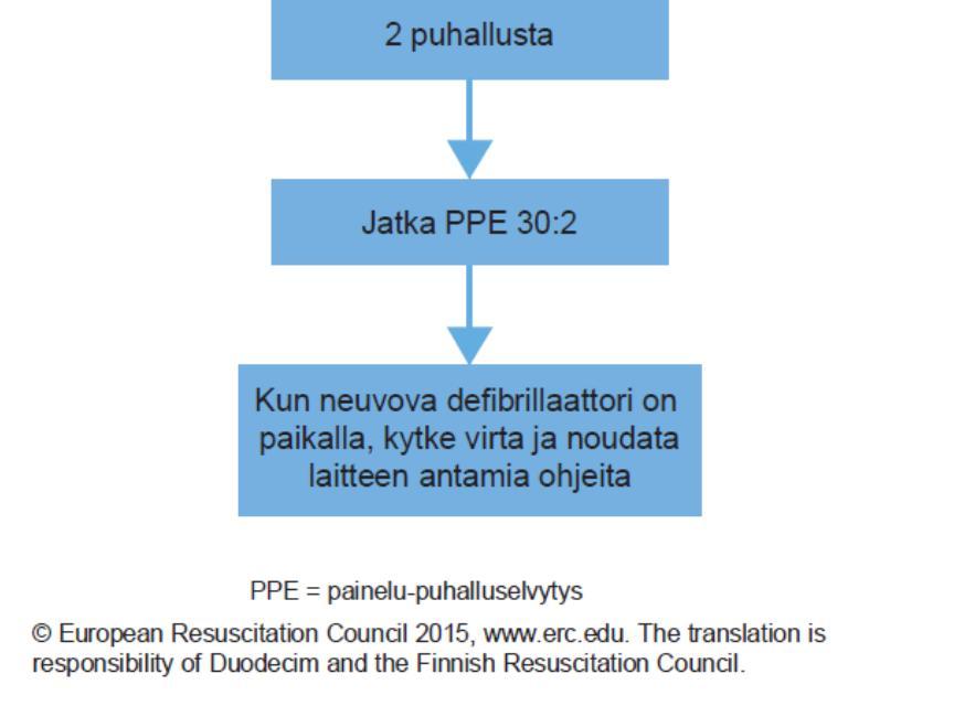 Airway