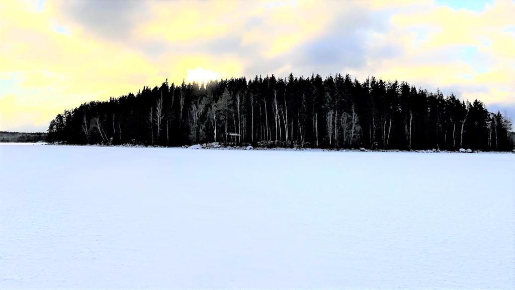 3 Ja lopuksi luontokatsaus. Luulen, että olen joka vuosi suurinpiirtein ensimmäinen, joka kävellen ylittää Lehtisaarenselän. Tänä talvena pääsin sen tekemään ensimmäistä kertaa jo tapaninpäivänä 26.