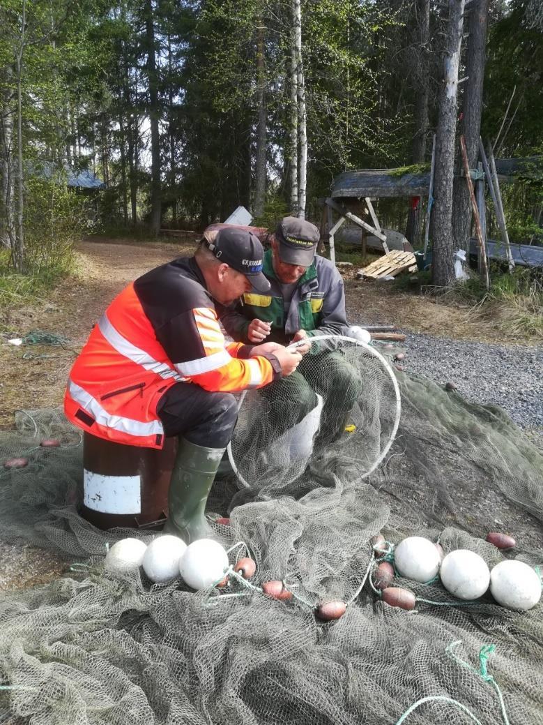 Meneillään olevia hankkeita Hankkeen nimi: Vähempiarvoisenkalan hoitokalastus Toteutus: Jokijärven kylän kalastuskunta Rahoitus: Pohjois-Pohjanmaan ELY-keskus