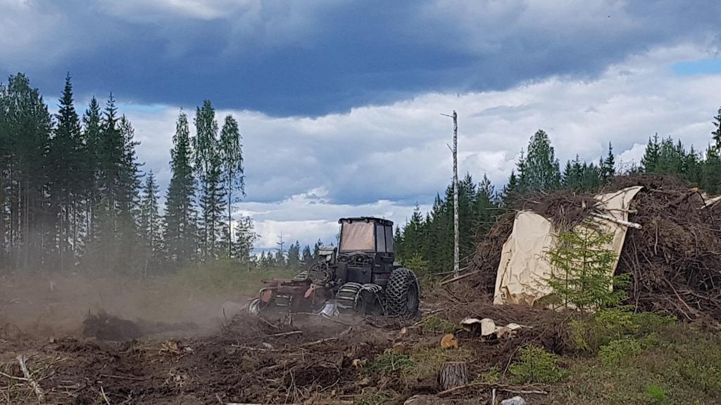 Käytännön vaikutukset?