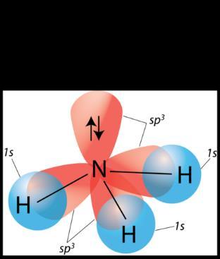 O-atomin perustila O-atomin hybriditila N-atomin perustila N-atomin hybriditila Veden orbitaalien päällekkäisyys taipunut, kiilamainen muoto Ammoniakin