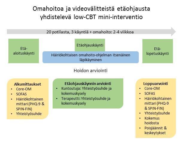 INTERVENTIO I OHJATTU OMAHOITO OMAHOIDON KOLMIOSAINEN PROSESSI Tietoa