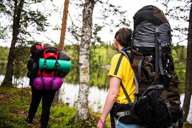 Kertauksena savut ja savun pestit Ryskeellä Lippukunta muodostaa joko yksin tai yhdessä toisen tai useamman lippukunnan kanssa savun, jonka koko on noin 50-100 leiriläistä.