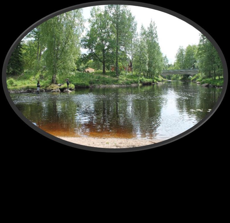 30 Viinikanjoki virtaa Parkanossa aivan kaupungin keskustan kupeessa.