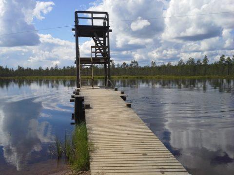 Isosaaren uimapaikka. Edellä mainituista uimapaikoista löydät lisätietoja www.parkano.