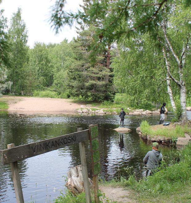 9 LÄHILUONTOA JA -KALASTUSTA SEKÄ KUNTORATOJA Parkanon keskustassa on tyypillistä vesistöjen ja metsien läheisyys kunnon maalaispitäjän mallin mukaisesti.