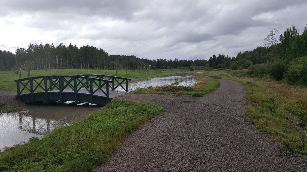 25 Kuva 7. Osonpuisto (Kimmo 2017b). Tasausallas on ratkaisu hulevesitulviin myös Teholan alueella Valtatie 15:n itäpuolella.