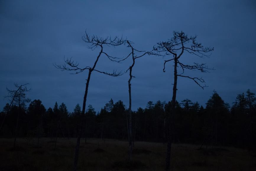 Sairastaminen, työkyvyttömyys ja toivottomuus Seitsemän vuotta yli 40 osastohoito-jaksoa Väsymys Ahdistus