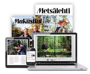 Alle 100 sijoitus jalostettuihin siemeniin tuottaa männyn metsäkylvössä metsän kiertoaikana rekkakuorman lisää laadukasta