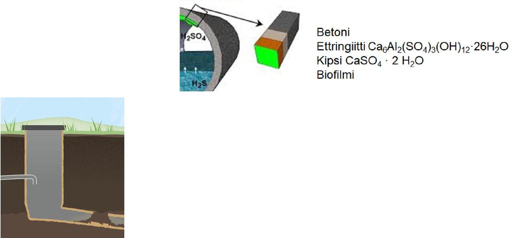 vetysulfidina HS - - sulfidina S 2-5 5 KORROOSIO H 2