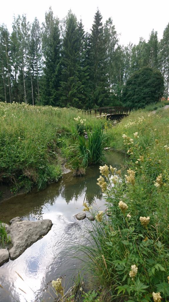 Kasvillisuuden merkitys Vähentää kokonaisvaluntaa Estää eroosiota Hidastaa veden kulkua Puhdistaa