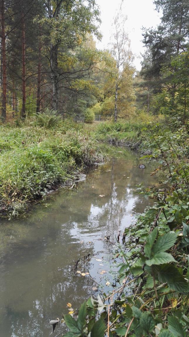 Sisältö 1. Hulevedet ja niiden vesistövaikutukset 2.