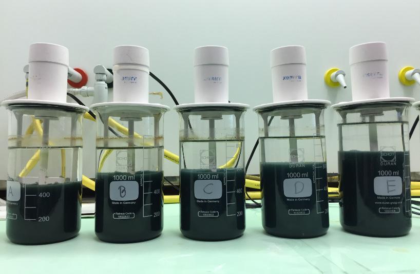 Natriumkarbonaatin (Na2CO3) soveltumista magnesiumin saostamiseen testattiin mittaamalla viiteen JAR-laitteiston sekoitusastiaan 800 ml laimennettua (laimennoskerroin 20) näytevettä.
