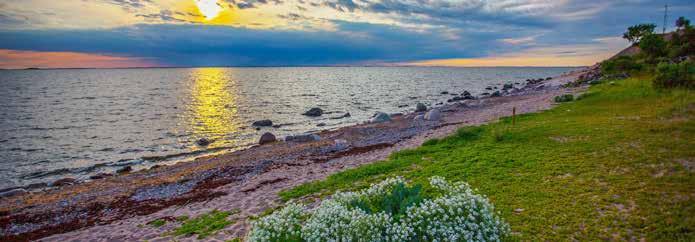 KEMIÖNSAAREN KUNTA SAARISTOKUNTANA Kemiönsaaren kunta pyrkii visionsa mukaisesti olemaan Suomen joustavin ja elinvoimaisin saaristokunta, jolle on luonteenomaista aktiivinen yritystoiminta