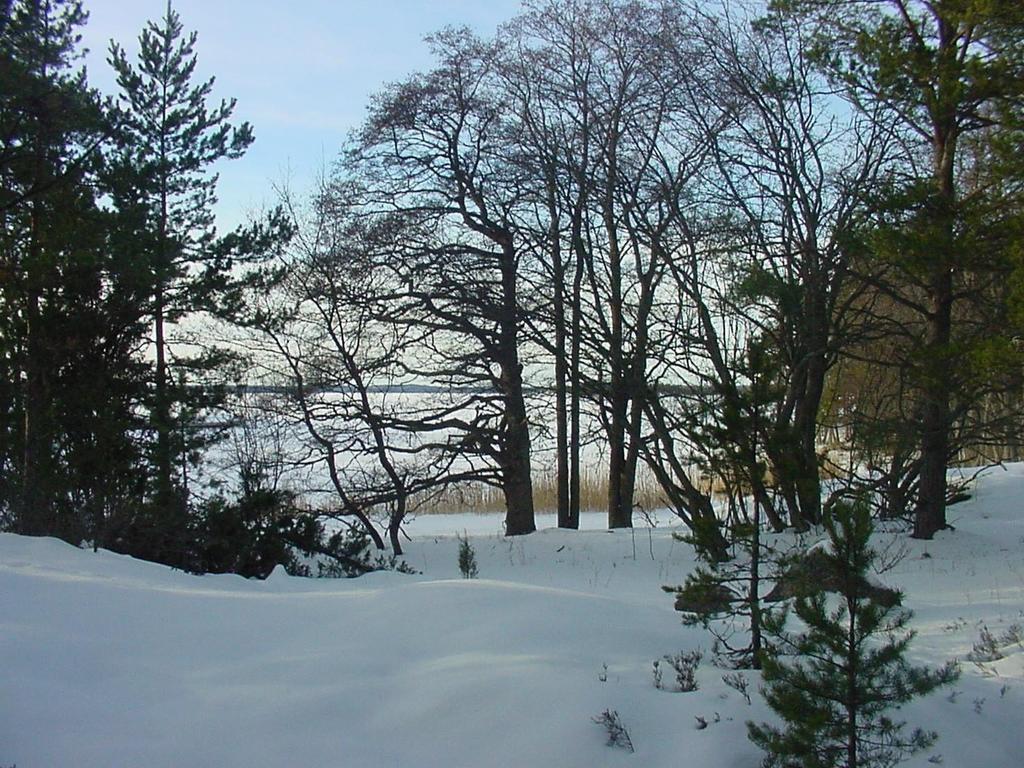 KIRKKONUMMEN KUNTA 1.4.
