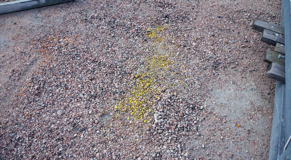 5. Maaperän ja sedimentin pilaantuminen 7 Myrkkymaalien sisältämä kupari ja sinkki ovat pysyviä aineita, eivätkä ne hajoa ympäristössä. Ne kertyvät meren pohjasedimenttiin ja sataman maaperään.
