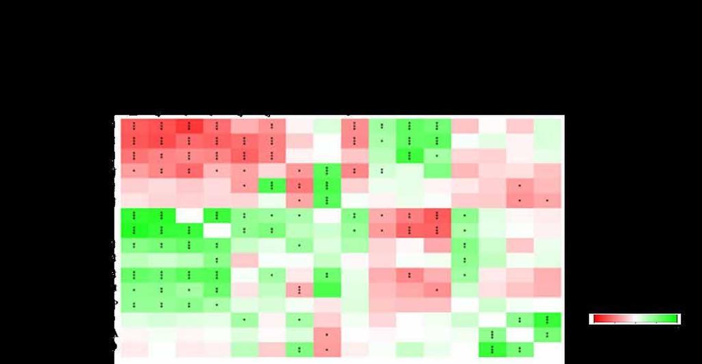 Results 79 IR men vs women At baseline, in contrast to IR males, VAT GU and FFAU (19%, p=0.04 and 37%, p=0.002, respectively) and femoral SAT FFAU (18%, p=0.