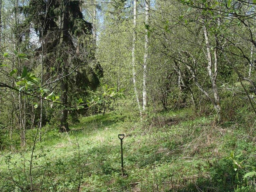 kaava-alueen länsiosassa.