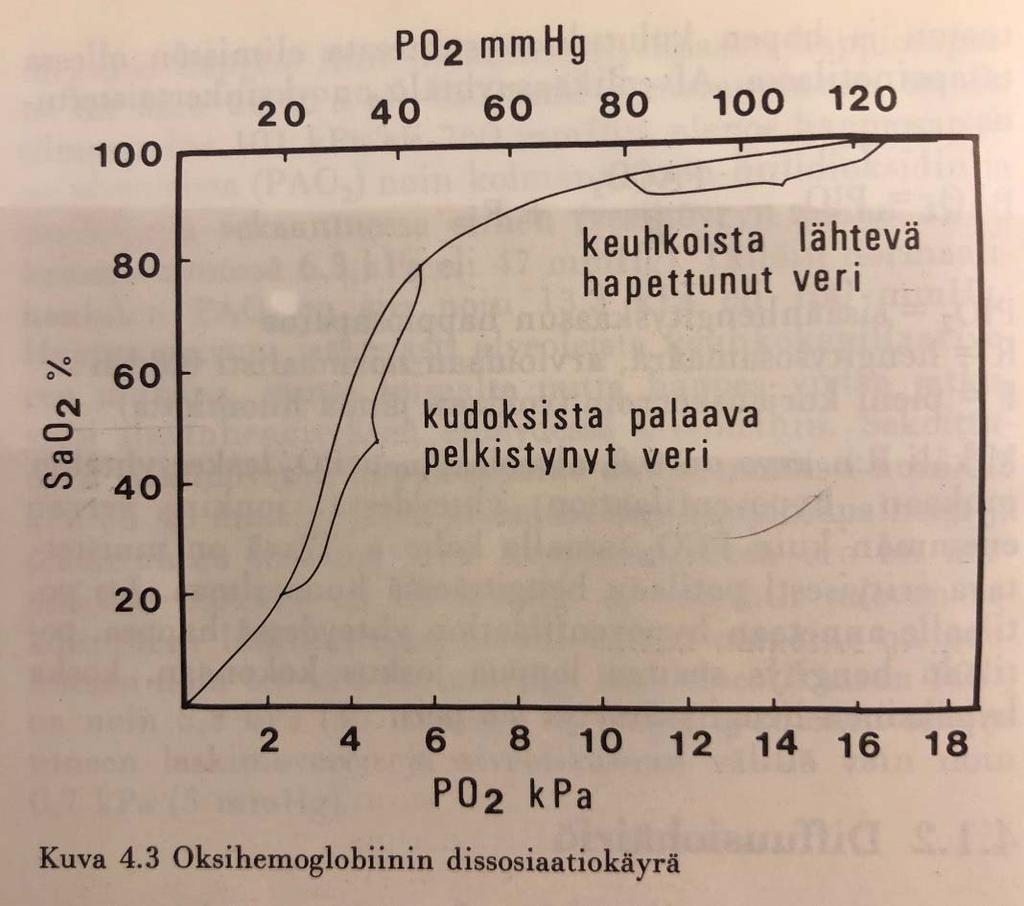 Oksihemoglobiinin dissosiaatiokäyrä (Bohr 1904) Vereen liuenneen O2 määrä on lineaarisessa suhteessa PO2 Hemoglobiinin