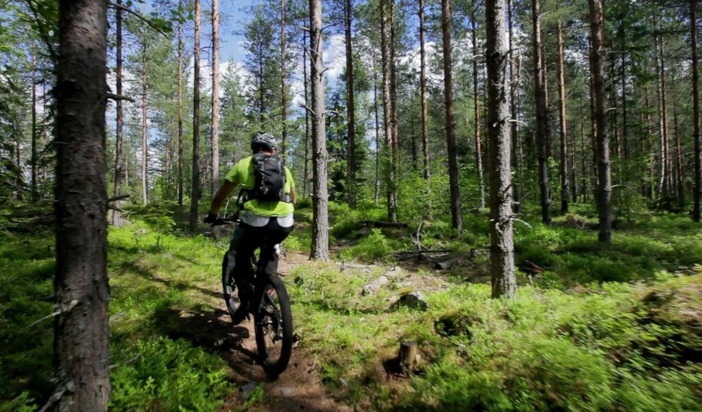 Terveyden- ja oilashuollon vastaanottotilat varataan terveydenhoitajalle, lääärille, psyologille, uraattorille ja opinto-ohjaajalle.