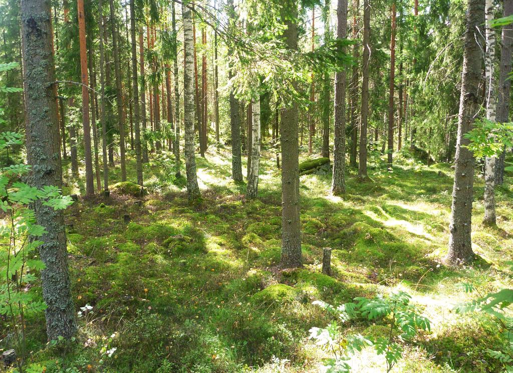 Päiväodin pienimpien lasten aidatun piha-alueen mitoitus on vähintään 360 m2, sinne on suora ulosäynti raennusesta ja sen suunnittelussa tulee huomioida mittaaavan pienipiirteisyys.