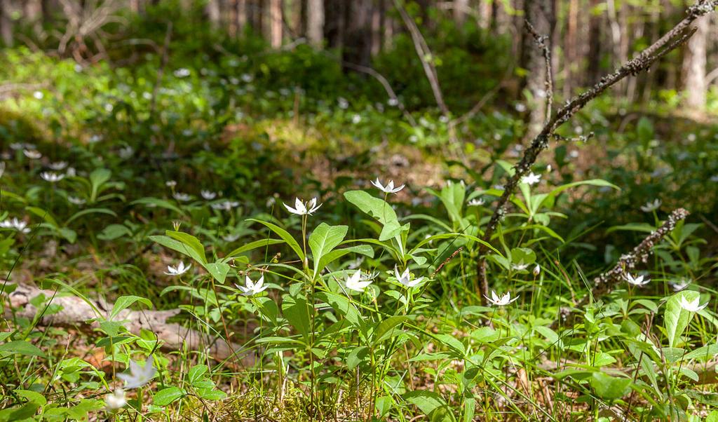 teijätiojen yhteydessä) yhteyshenilön yhteystiedot (postiosoite, helinnumero, sähöpostiosoite) teijänoieuden haltijan nimen. 6.