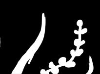 Pohjaartta (dwg) 8. Kilpailualueen rajaus pohjaartassa (pdf) 1:1 000 9. Koulun 3-6 l tilalutelo 1. vaihe (pdf) 10. Koulun 7-9 l tilalutelo 2. vaihe (pdf) 11. Pienten lasten ysiön tilalutelo (pdf) 12.