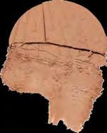 Correcting PUUTERI kaikki