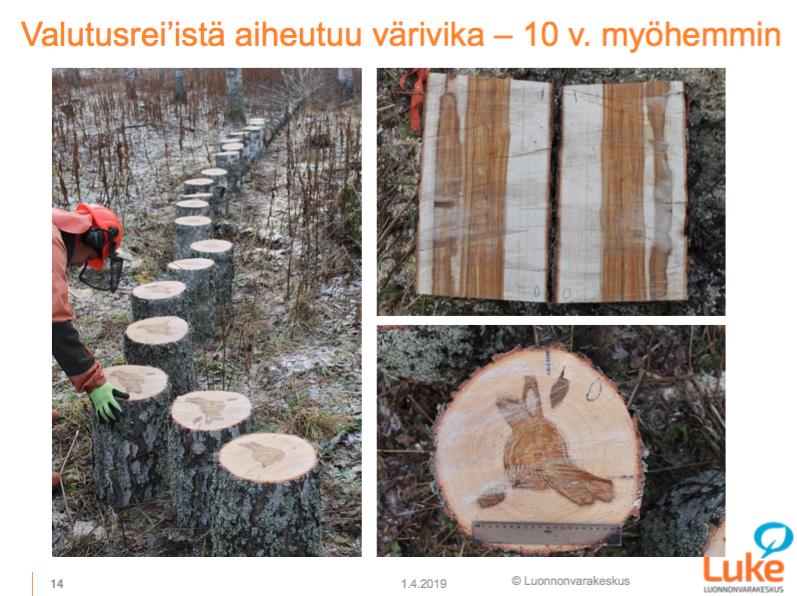 Valutusreiän