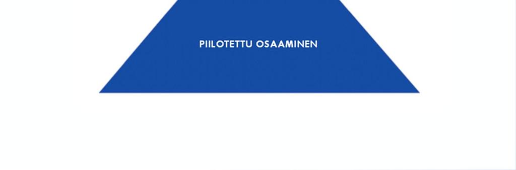 Mitä tarkoittaa kansainvälisyys, kulttuurituntemus?