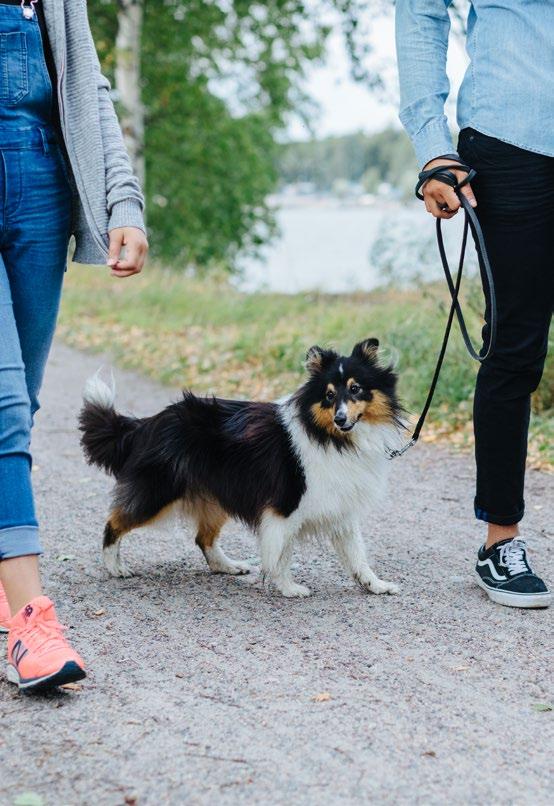 LAISISTA TOIMITUSKETJUN JA OMAN TOIMINNAN YMPÄRISTÖNÄKÖKULMAT Toimitusketjun kartoitus ja vastuullisuusvaatimukset Toimitusketjuamme koskevat yritysvastuuvaatimukset on kirjattu Supplier Code of