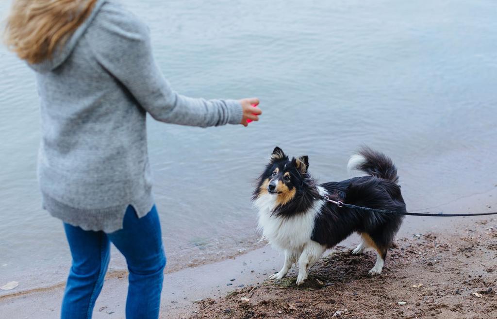 LAISISTA RAPORTOINTI- PERIAATTEET Varmistamme toimintamme läpinäkyvyyden raportoimalla säännöllisesti ja kattavasti liiketoiminnastamme ja vastuullisuustyöstämme.