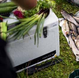 Hän huomasi olevansa myös melko hyvä kalastaja, joten hän alkoi etsiä kylmälaukkua, jossa voisi säilyttää kaikki saamansa kalat ja eväänsä tuoreina.