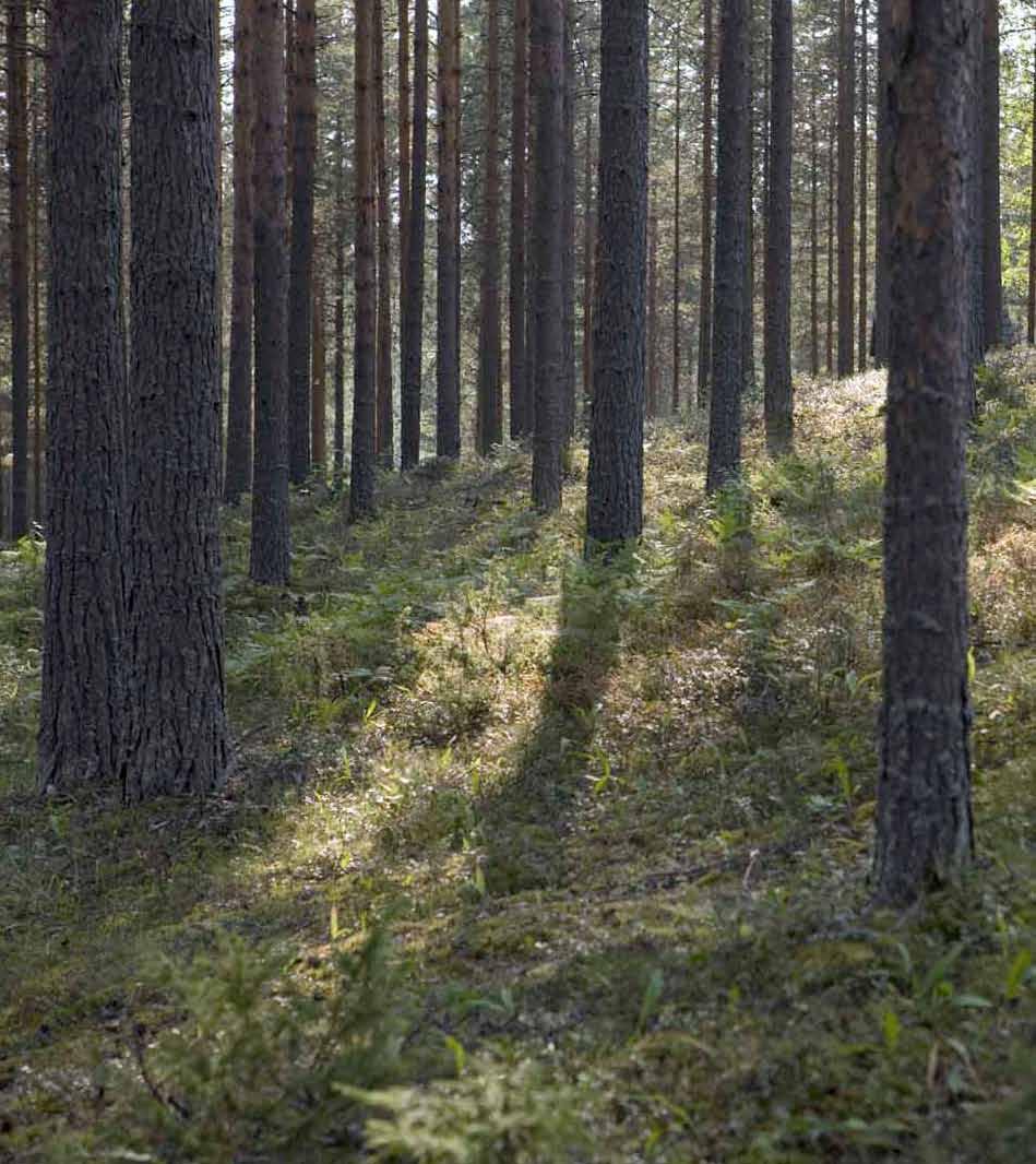 HES-säätiö tukee hengityssairauksiin ja