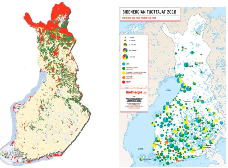 51 koivikoita olisi mahdollista hyödyntää kannattavasti myös energiapuun tuotantoon, mikäli energiapuun kysyntä sekä hinta kuitupuun hintaan nähden paranee tai ainakin pysyy nykyisellä tasolla.